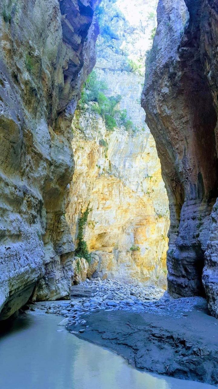 Bujtina Flowers Πρεμετή Εξωτερικό φωτογραφία